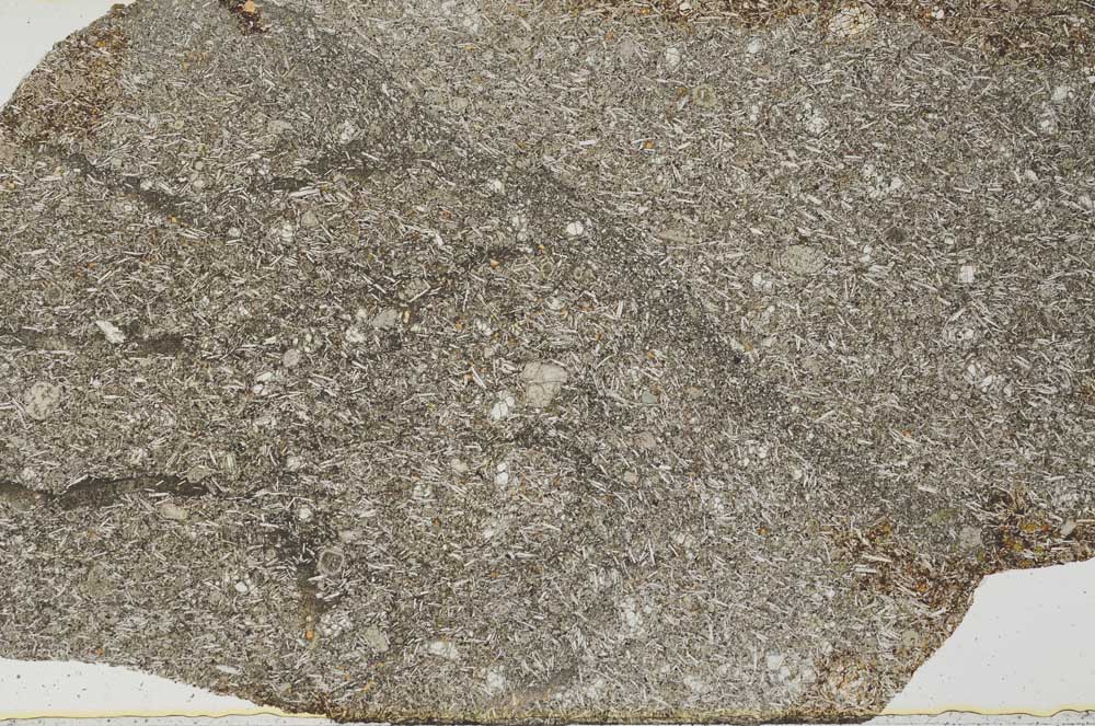 Plane Polarized, S60559