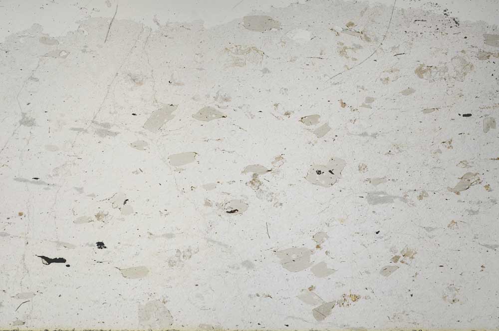 Plane Polarized, S60564