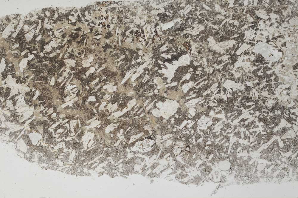 Plane Polarized, S60574