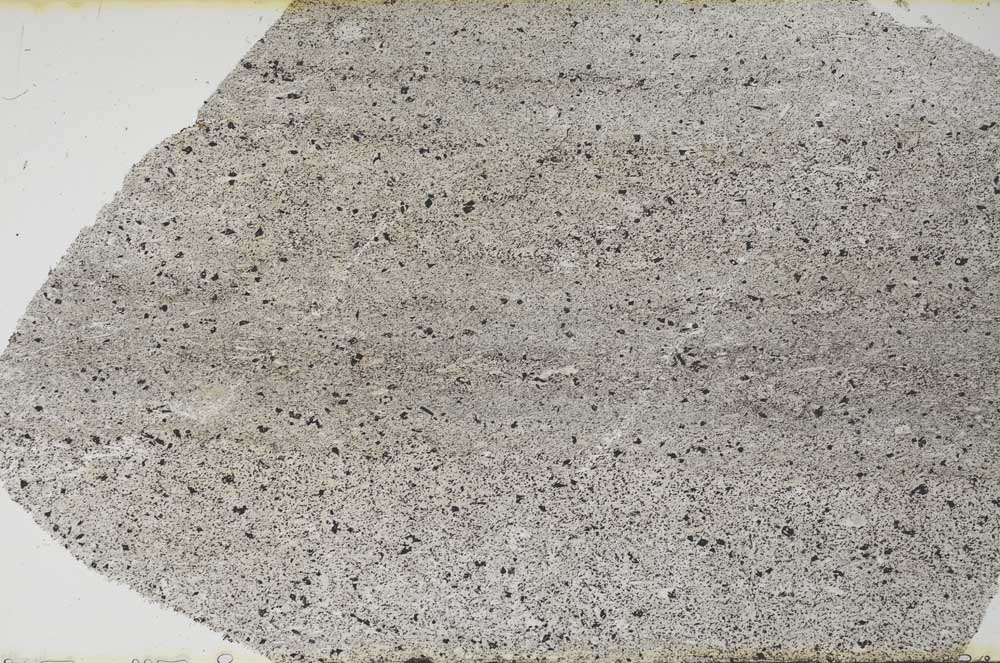 Plane Polarized, S60582