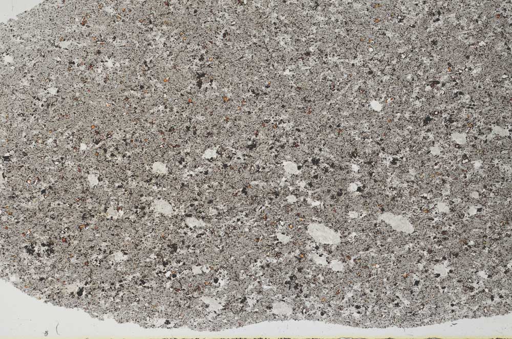 Plane Polarized, S60586