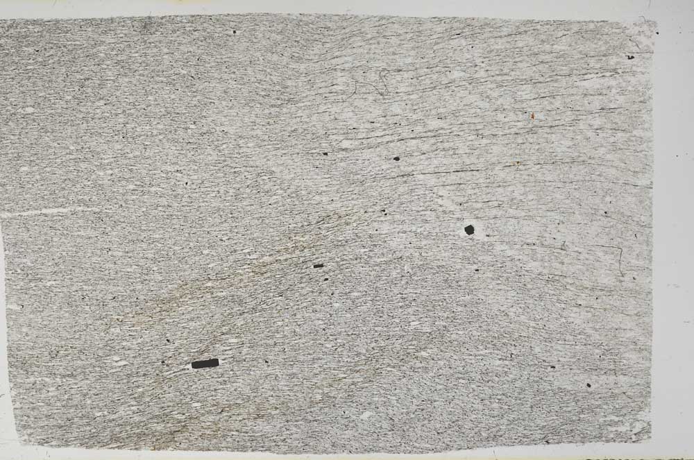 Plane Polarized, S60813