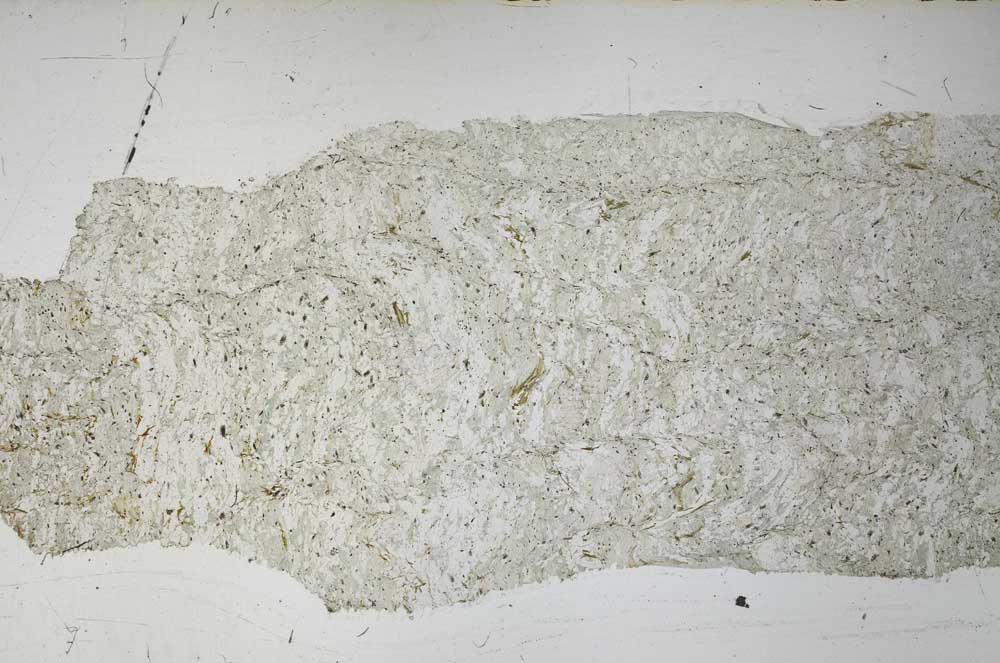 Plane Polarized, S60821