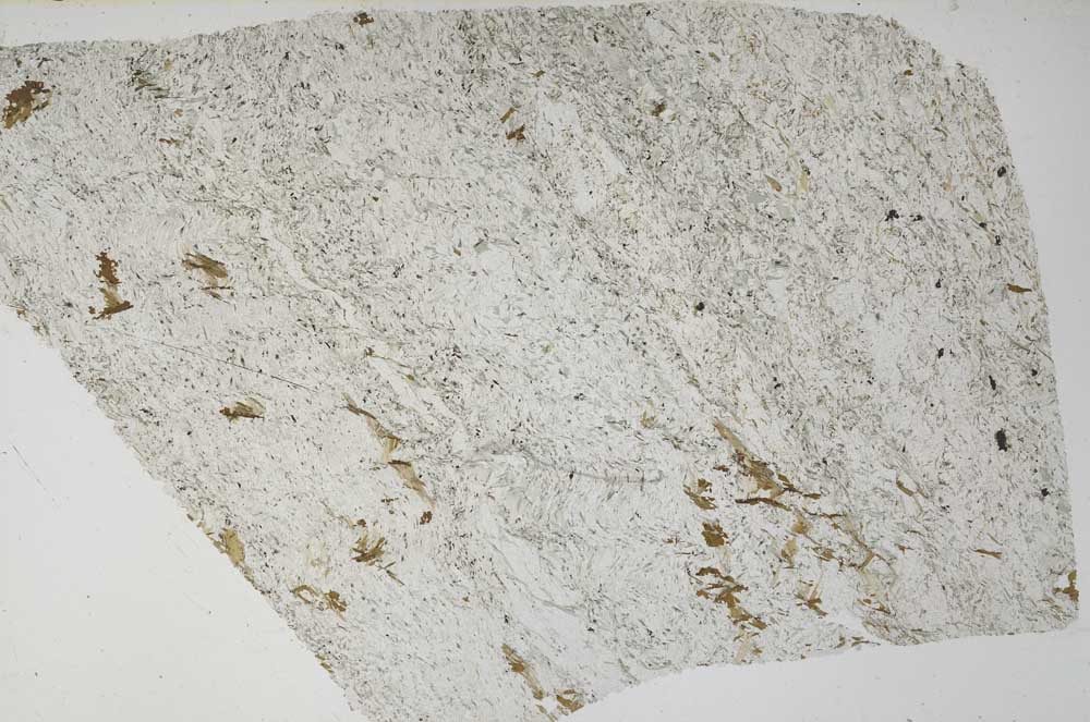 Plane Polarized, S60837