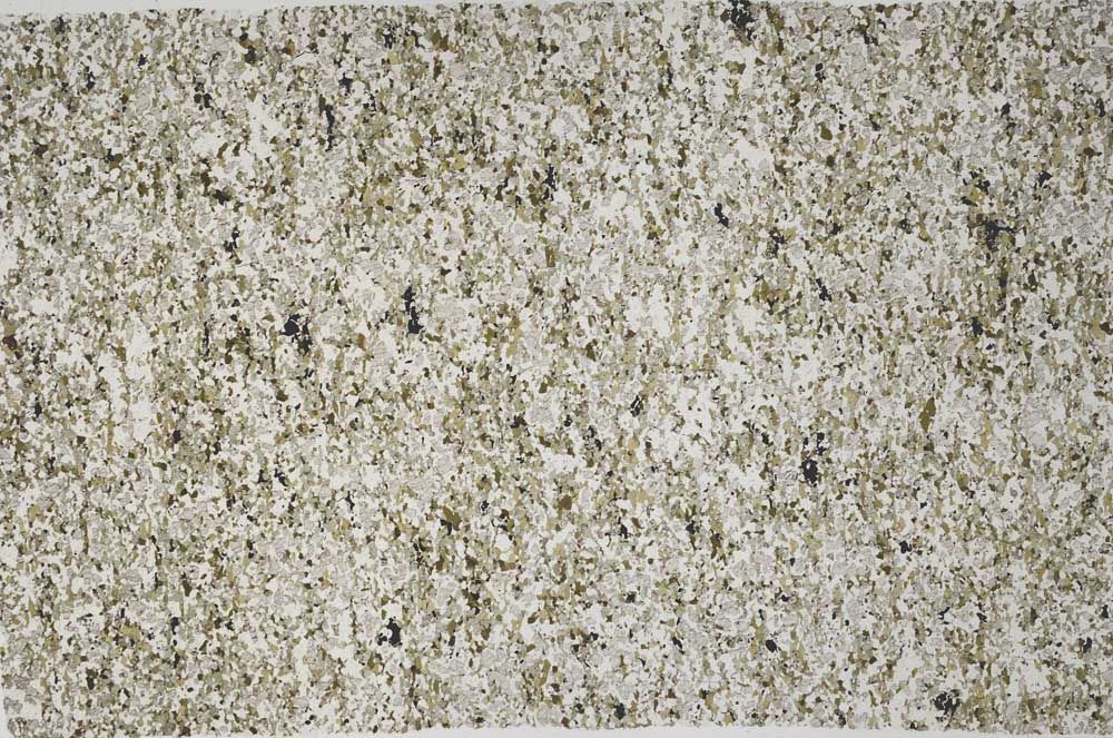 Plane Polarized, S60857