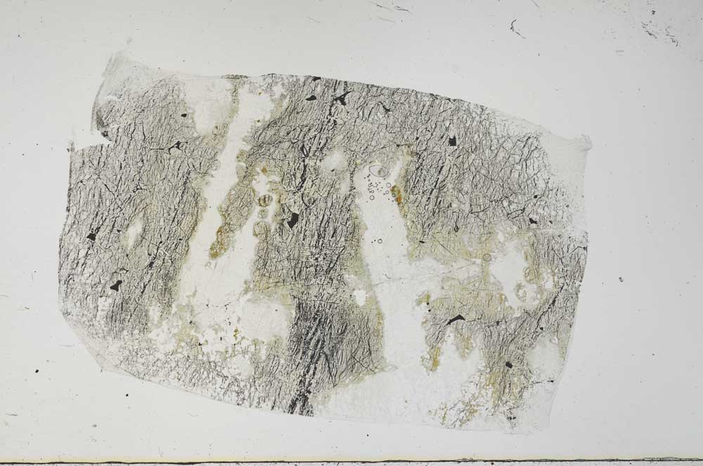Plane Polarized, S60924
