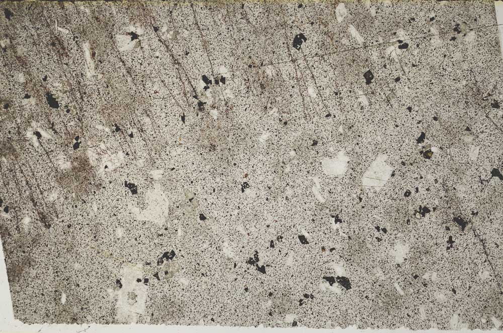 Plane Polarized, S60972