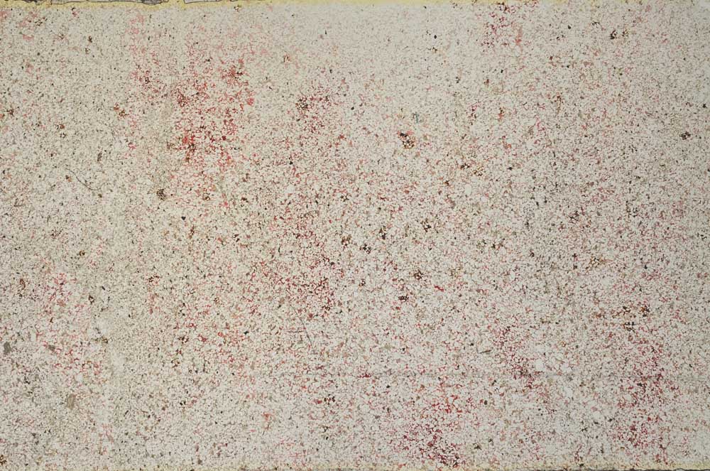 Plane Polarized, S60975