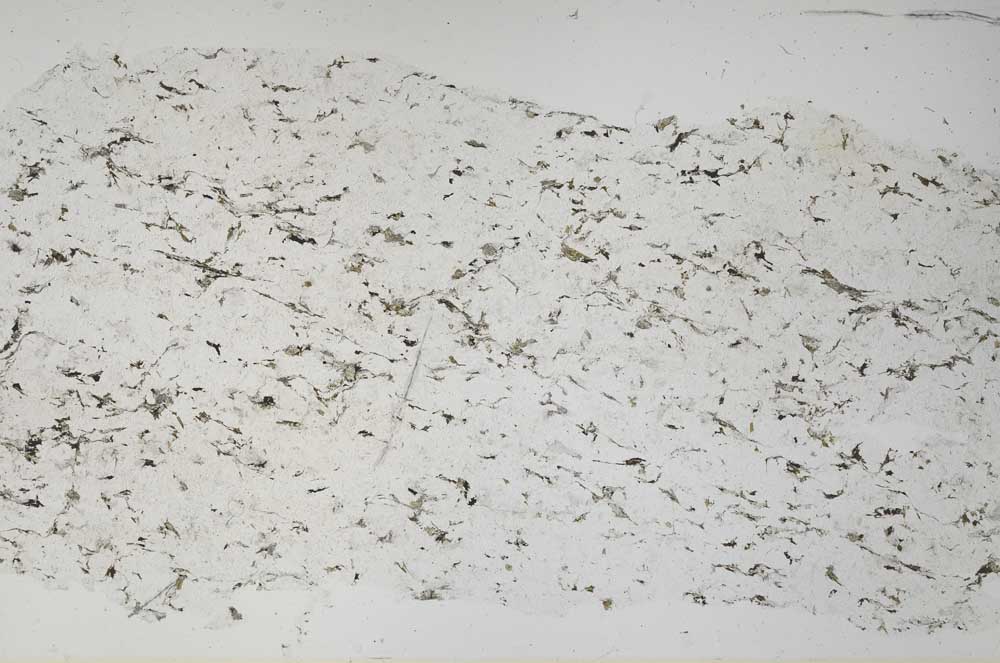 Plane Polarized, S61112
