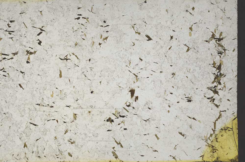 Plane Polarized, S61137