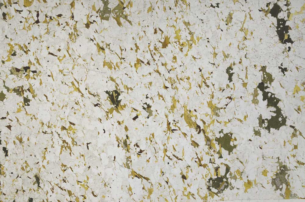 Plane Polarized, S61139