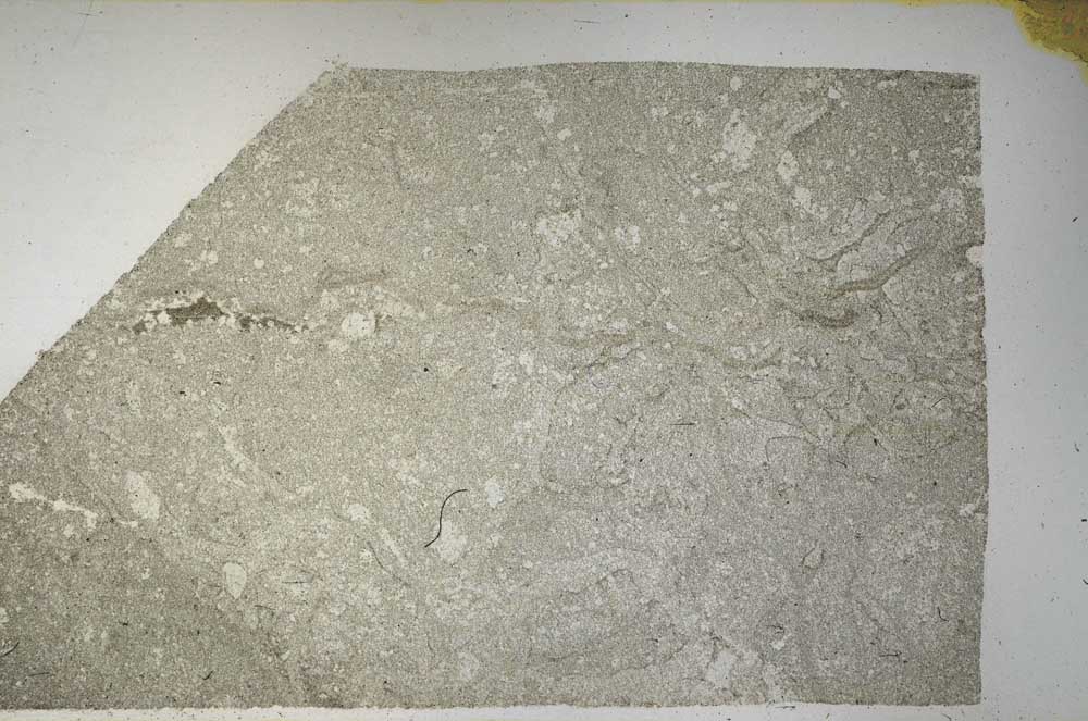 Plane Polarized, S61170