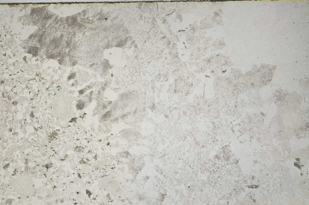 Plane Polarized, S61181