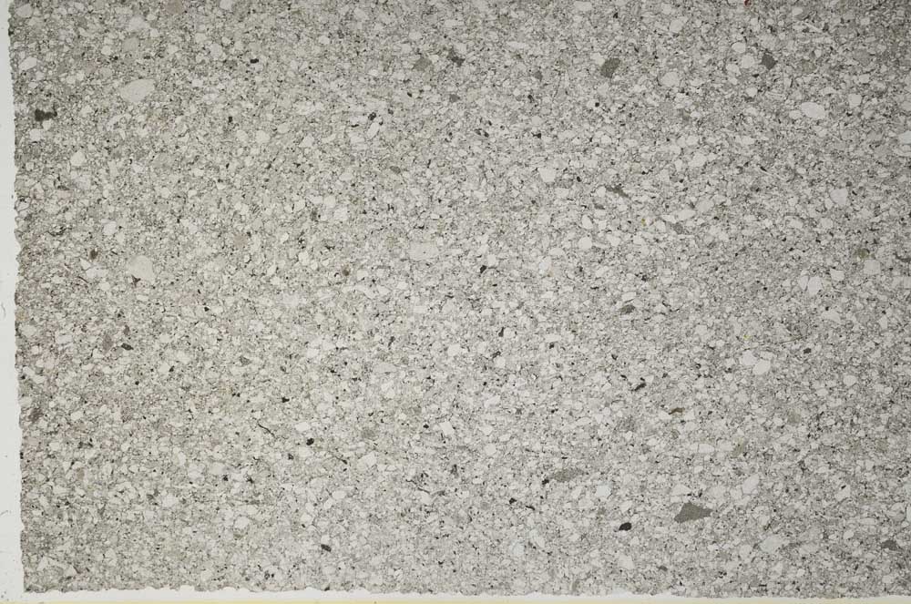 Plane Polarized, S61182