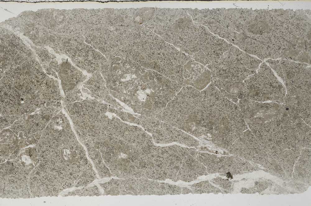 Plane Polarized, S61194