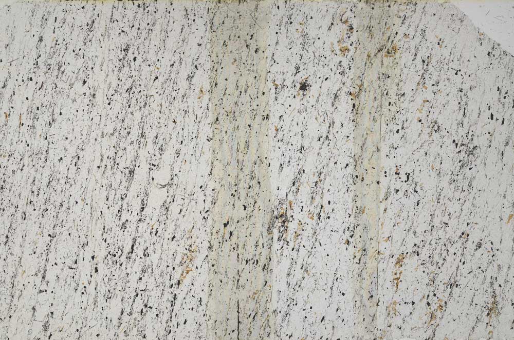 Plane Polarized, S61196