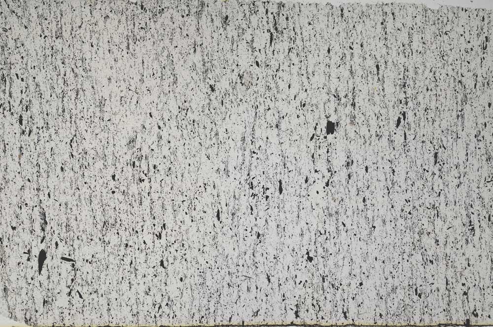 Plane Polarized, S61198