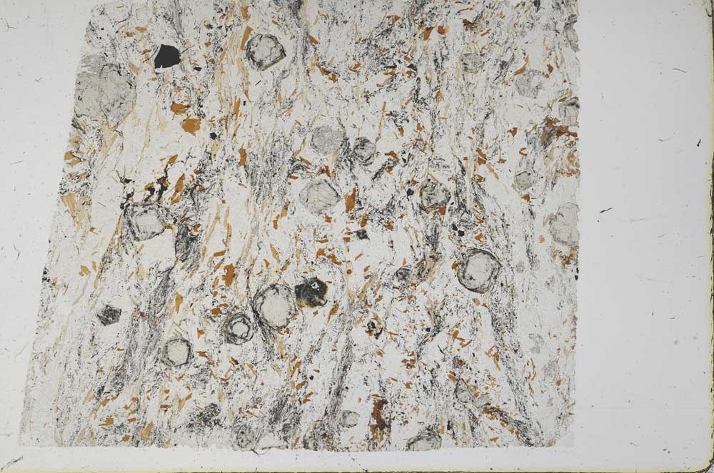 Plane Polarized, S61199