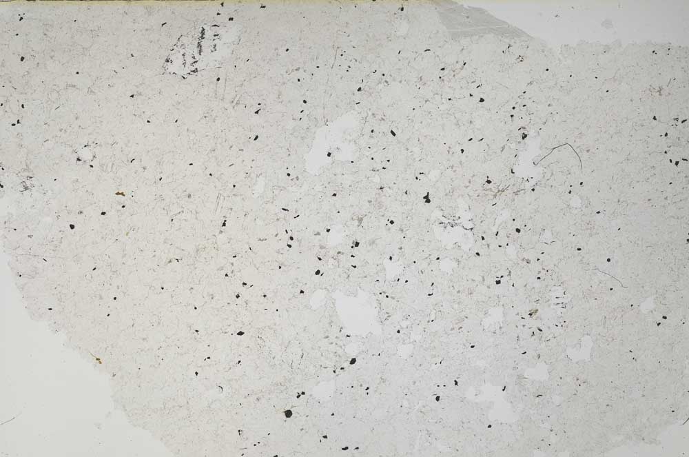 Plane Polarized, S61258