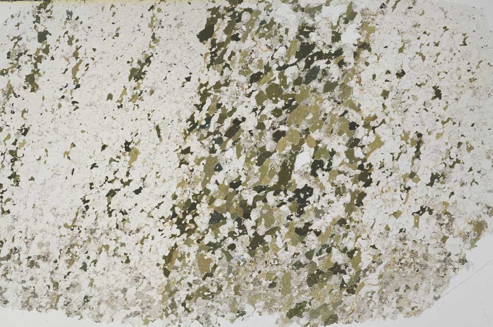 Plane Polarized, S61259