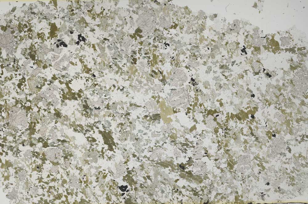 Plane Polarized, S61261