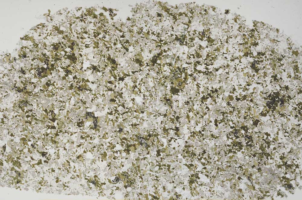 Plane Polarized, S61262