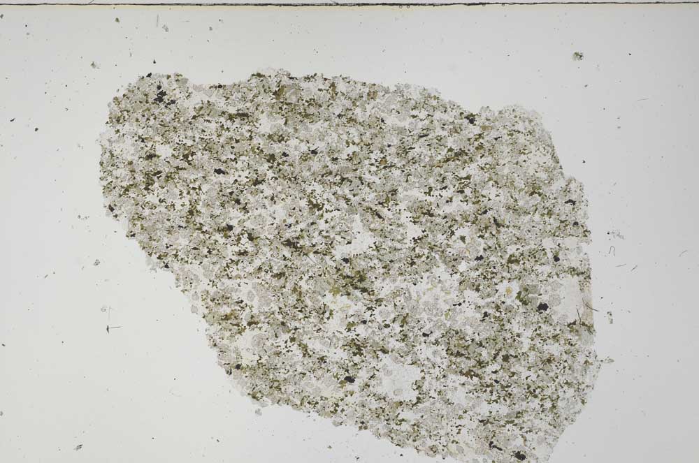 Plane Polarized, S61265