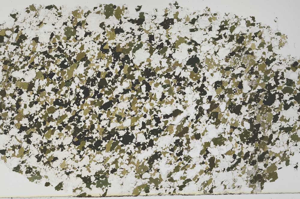 Plane Polarized, S61271