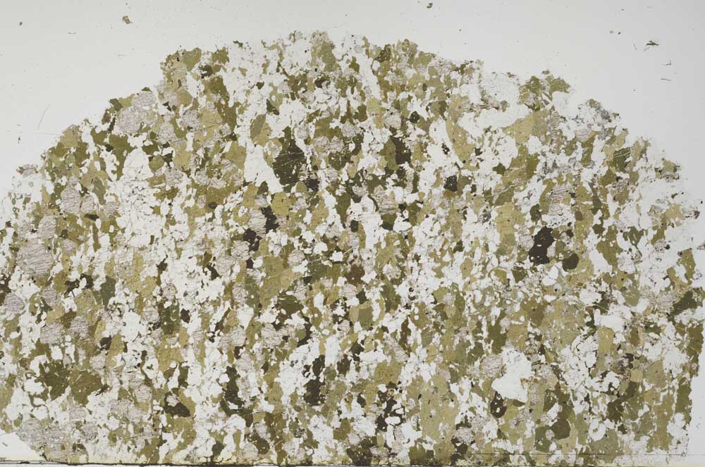 Plane Polarized, S61274