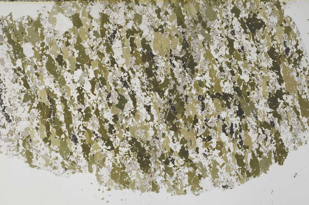 Plane Polarized, S61276