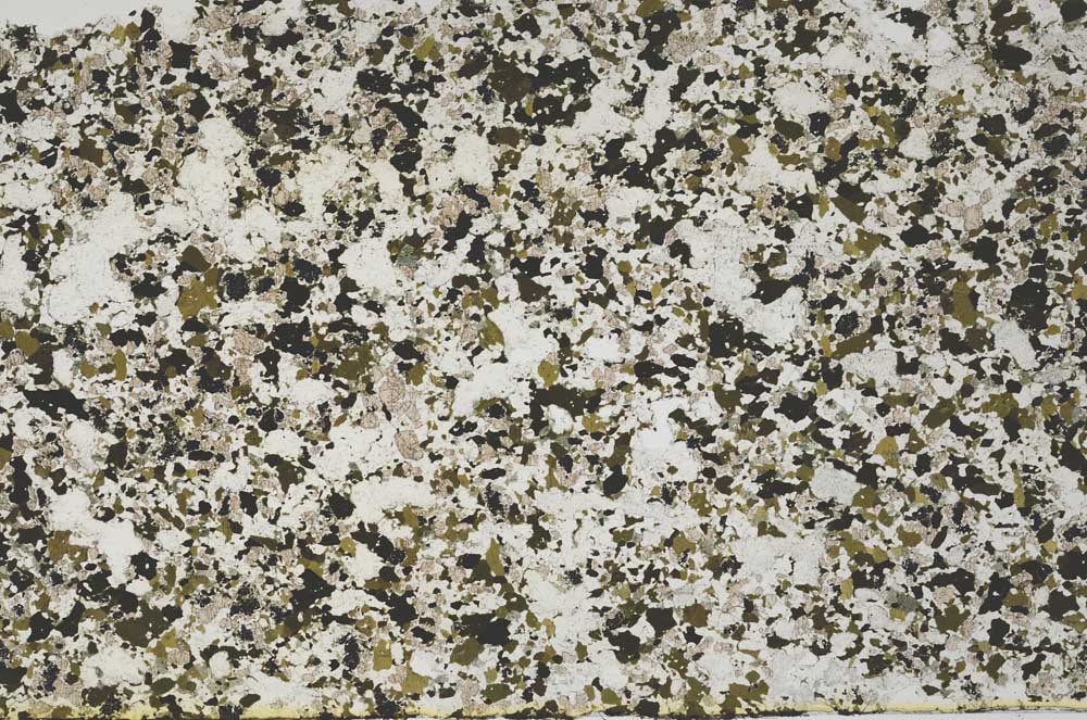 Plane Polarized, S61277