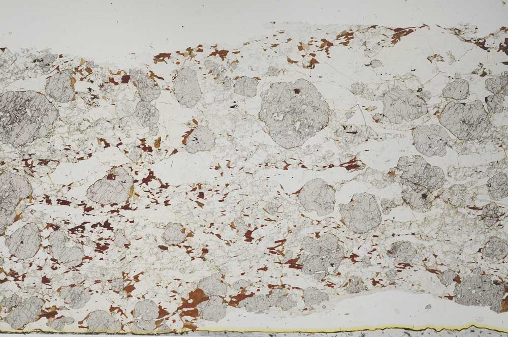 Plane Polarized, S61278