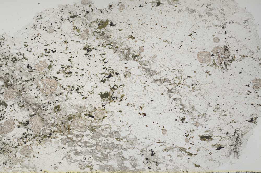 Plane Polarized, S61281