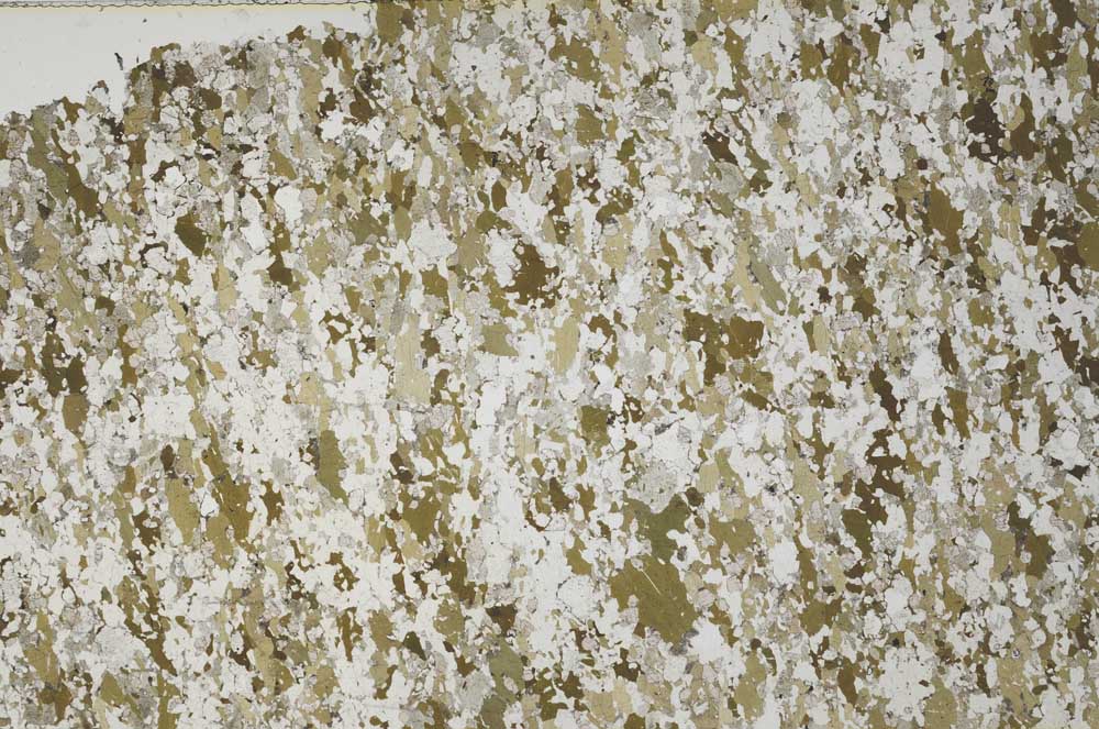 Plane Polarized, S61282