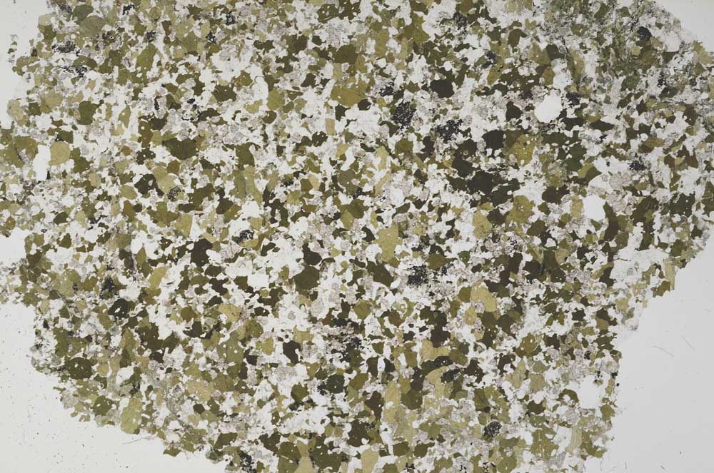 Plane Polarized, S61288