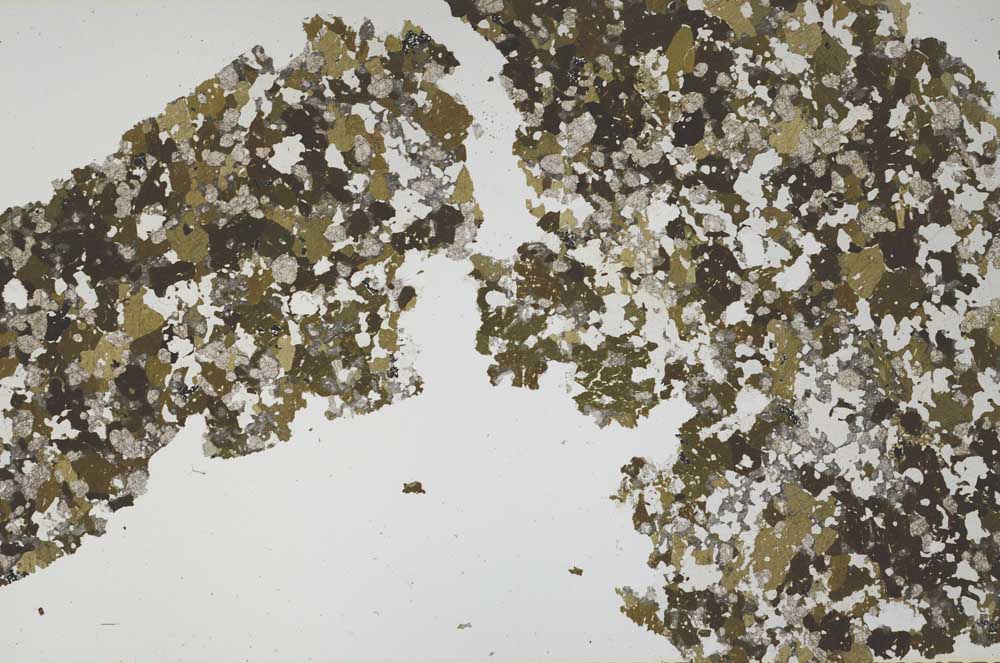Plane Polarized, S61295