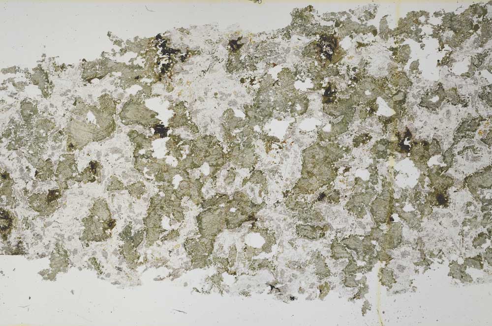 Plane Polarized, S61303