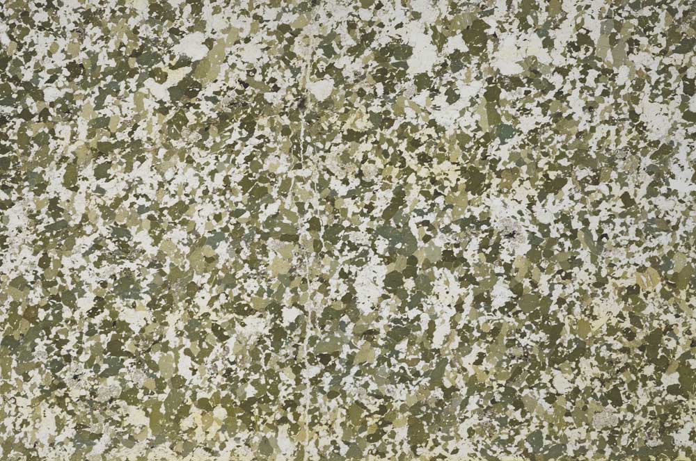 Plane Polarized, S61307