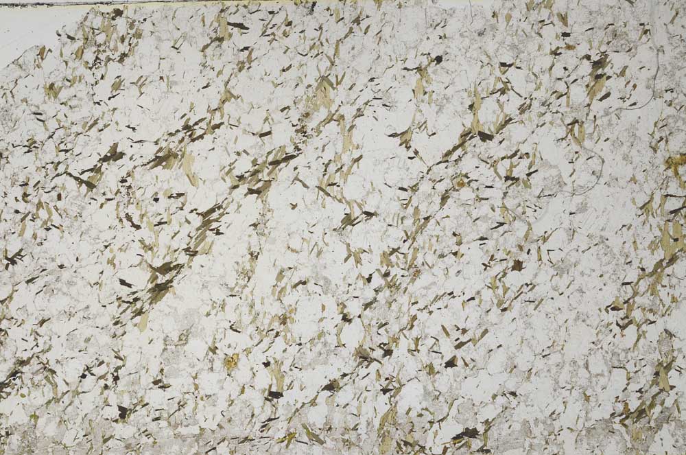 Plane Polarized, S61316