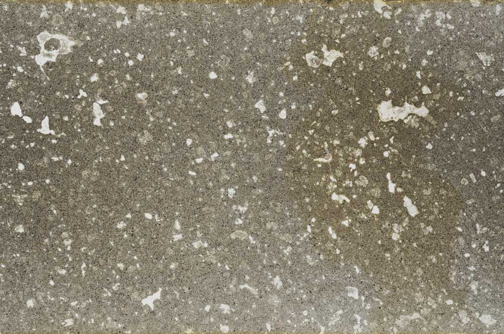 Plane Polarized, S61318