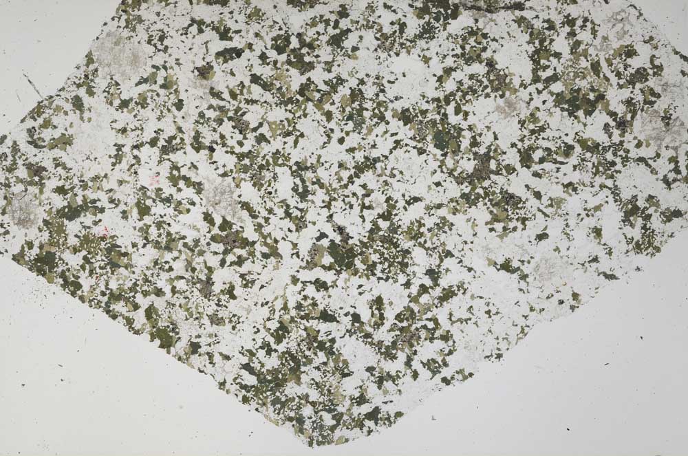 Plane Polarized, S61319/A