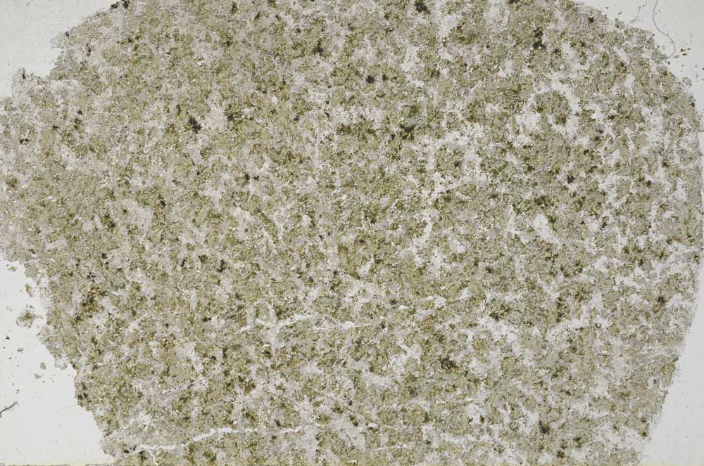 Plane Polarized, S61321