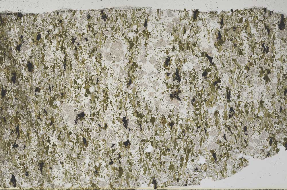 Plane Polarized, S61325