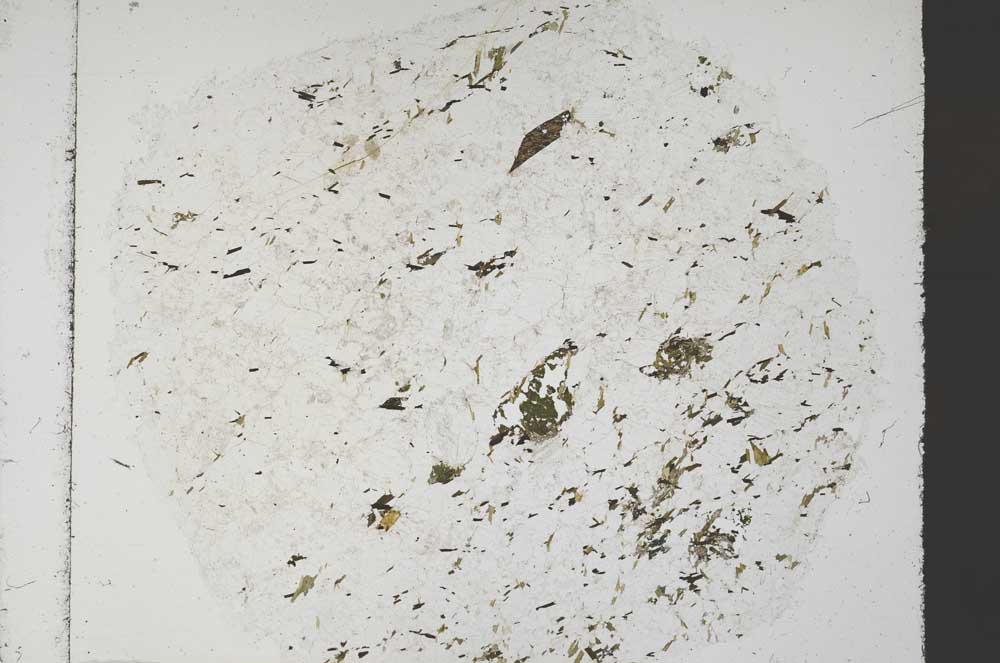 Plane Polarized, S61328