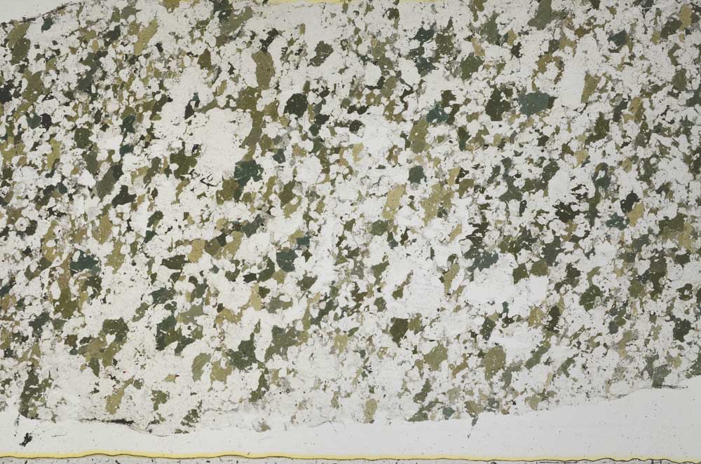 Plane Polarized, S61330