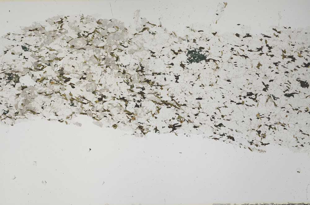 Plane Polarized, S61331