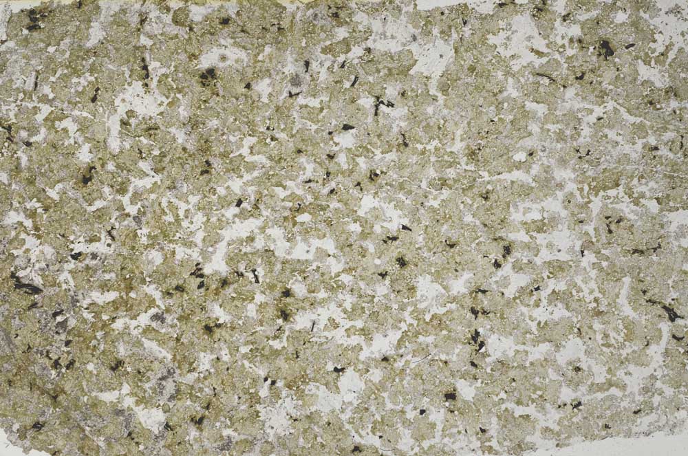 Plane Polarized, S61332