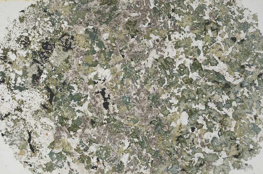 Plane Polarized, S61333