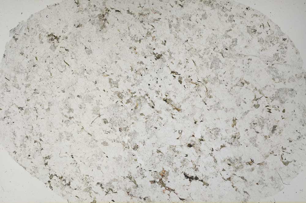 Plane Polarized, S61335