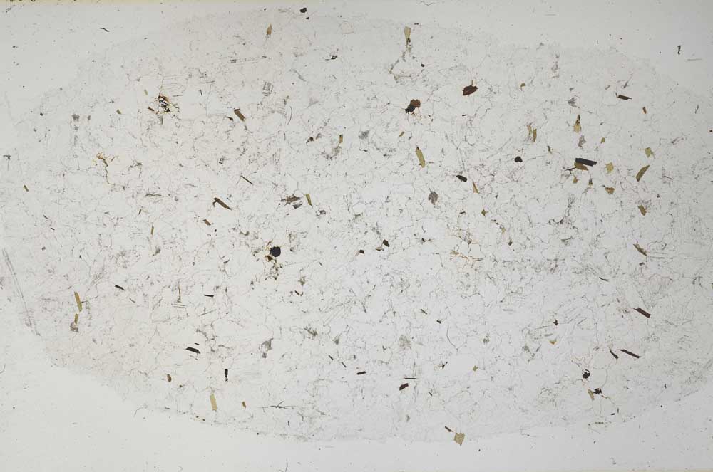 Plane Polarized, S61337